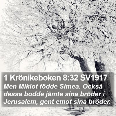 1 Krönikeboken 8:32 SV1917 Bible Verse Image