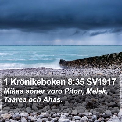 1 Krönikeboken 8:35 SV1917 Bible Verse Image