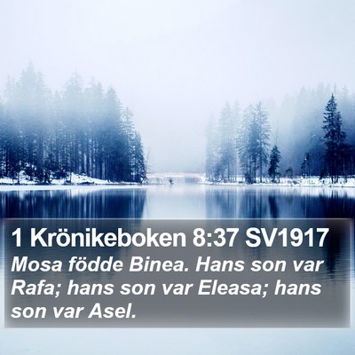 1 Krönikeboken 8:37 SV1917 Bible Verse Image