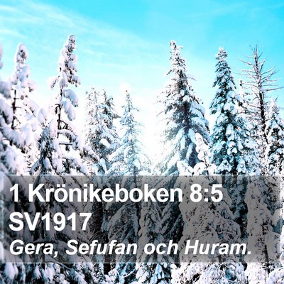 1 Krönikeboken 8:5 SV1917 Bible Verse Image