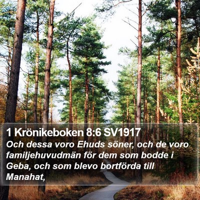 1 Krönikeboken 8:6 SV1917 Bible Verse Image
