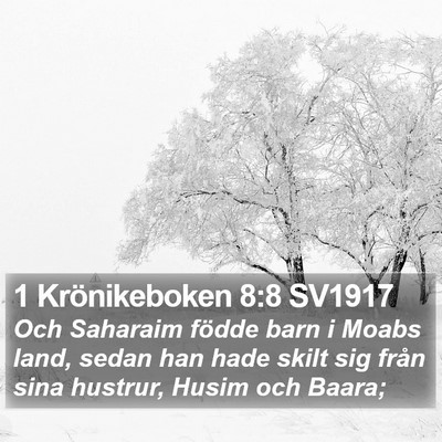 1 Krönikeboken 8:8 SV1917 Bible Verse Image