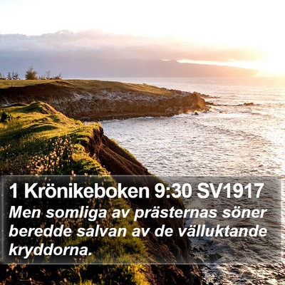 1 Krönikeboken 9:30 SV1917 Bible Verse Image