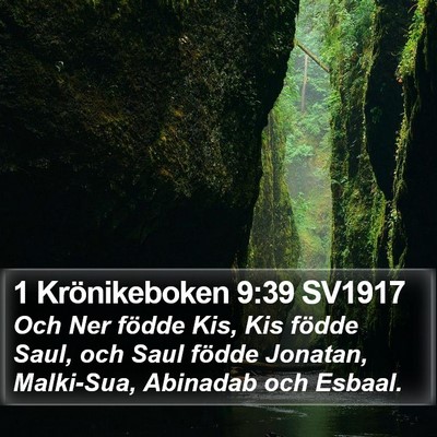 1 Krönikeboken 9:39 SV1917 Bible Verse Image