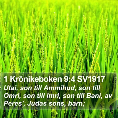1 Krönikeboken 9:4 SV1917 Bible Verse Image