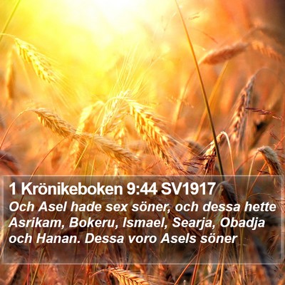 1 Krönikeboken 9:44 SV1917 Bible Verse Image