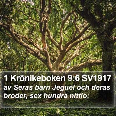 1 Krönikeboken 9:6 SV1917 Bible Verse Image