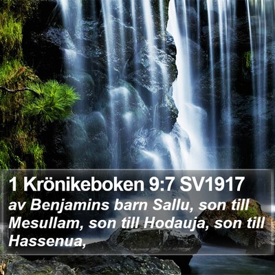 1 Krönikeboken 9:7 SV1917 Bible Verse Image