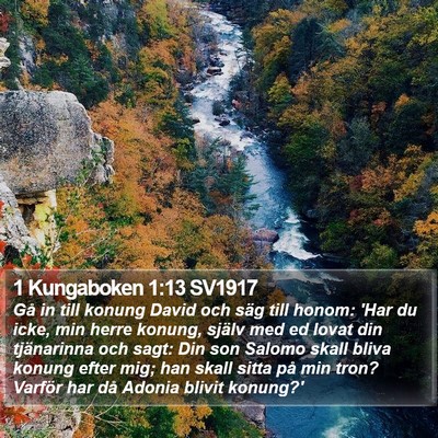 1 Kungaboken 1:13 SV1917 Bible Verse Image