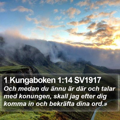 1 Kungaboken 1:14 SV1917 Bible Verse Image