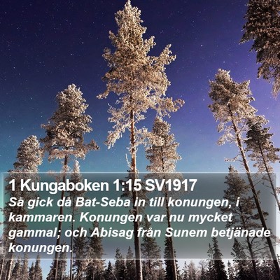 1 Kungaboken 1:15 SV1917 Bible Verse Image