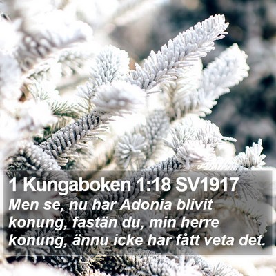 1 Kungaboken 1:18 SV1917 Bible Verse Image