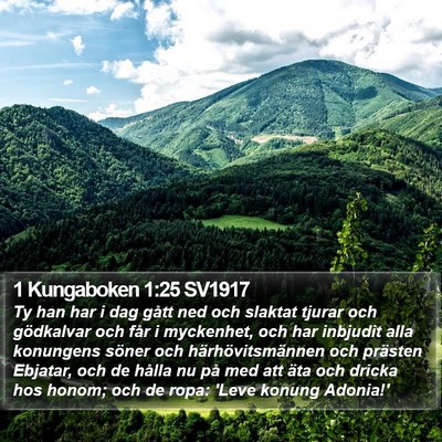 1 Kungaboken 1:25 SV1917 Bible Verse Image