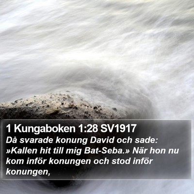 1 Kungaboken 1:28 SV1917 Bible Verse Image
