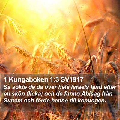 1 Kungaboken 1:3 SV1917 Bible Verse Image