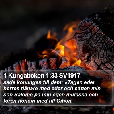 1 Kungaboken 1:33 SV1917 Bible Verse Image