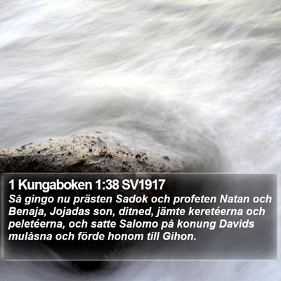 1 Kungaboken 1:38 SV1917 Bible Verse Image