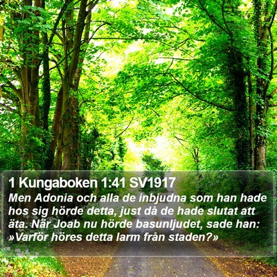 1 Kungaboken 1:41 SV1917 Bible Verse Image