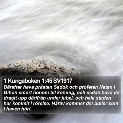 1 Kungaboken 1:45 SV1917 Bible Verse Image