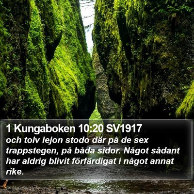 1 Kungaboken 10:20 SV1917 Bible Verse Image
