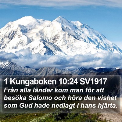 1 Kungaboken 10:24 SV1917 Bible Verse Image