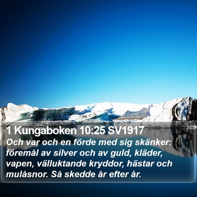 1 Kungaboken 10:25 SV1917 Bible Verse Image