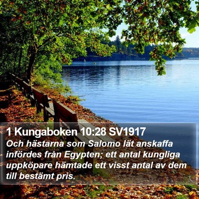 1 Kungaboken 10:28 SV1917 Bible Verse Image
