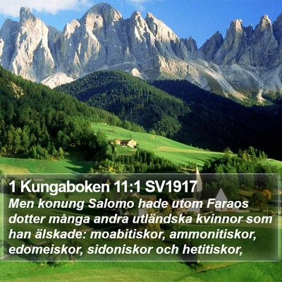 1 Kungaboken 11:1 SV1917 Bible Verse Image