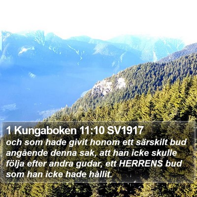 1 Kungaboken 11:10 SV1917 Bible Verse Image