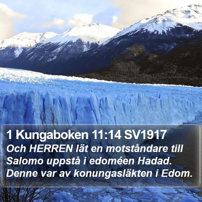 1 Kungaboken 11:14 SV1917 Bible Verse Image