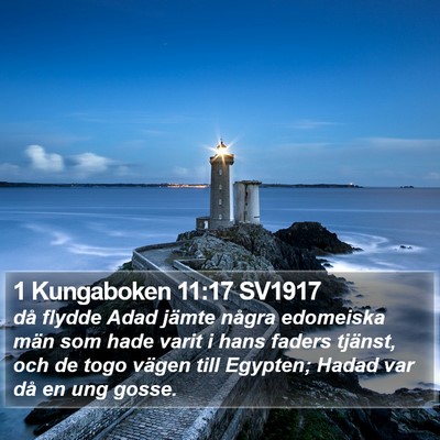 1 Kungaboken 11:17 SV1917 Bible Verse Image