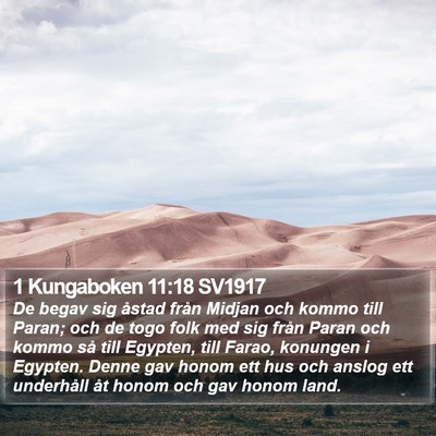 1 Kungaboken 11:18 SV1917 Bible Verse Image