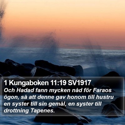 1 Kungaboken 11:19 SV1917 Bible Verse Image