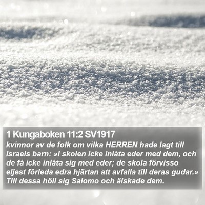 1 Kungaboken 11:2 SV1917 Bible Verse Image