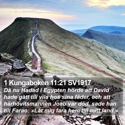 1 Kungaboken 11:21 SV1917 Bible Verse Image