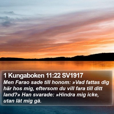 1 Kungaboken 11:22 SV1917 Bible Verse Image