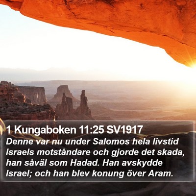 1 Kungaboken 11:25 SV1917 Bible Verse Image