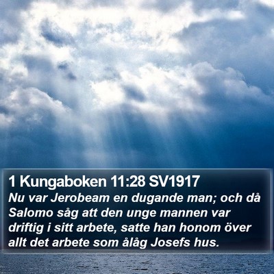 1 Kungaboken 11:28 SV1917 Bible Verse Image