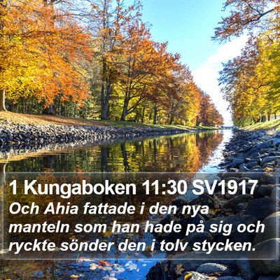 1 Kungaboken 11:30 SV1917 Bible Verse Image