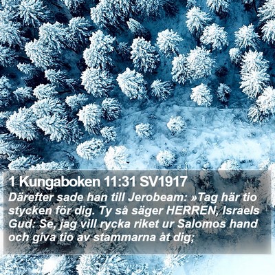 1 Kungaboken 11:31 SV1917 Bible Verse Image