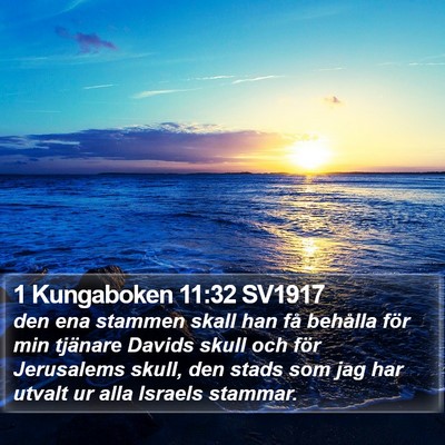 1 Kungaboken 11:32 SV1917 Bible Verse Image