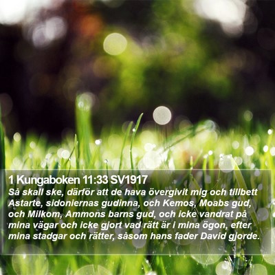 1 Kungaboken 11:33 SV1917 Bible Verse Image