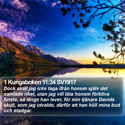 1 Kungaboken 11:34 SV1917 Bible Verse Image