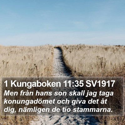1 Kungaboken 11:35 SV1917 Bible Verse Image