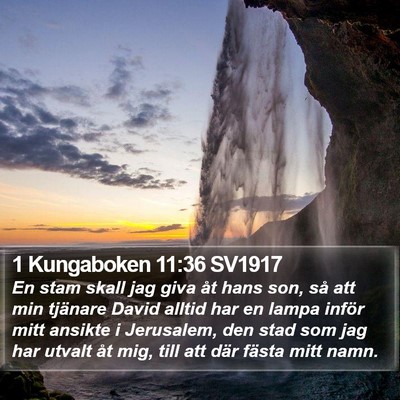 1 Kungaboken 11:36 SV1917 Bible Verse Image