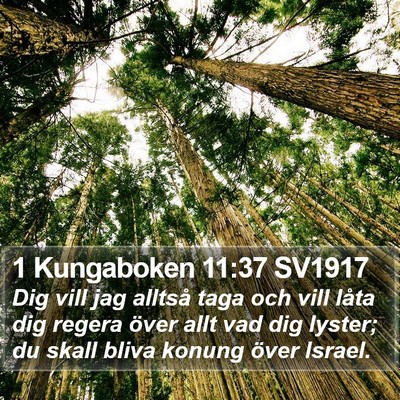 1 Kungaboken 11:37 SV1917 Bible Verse Image