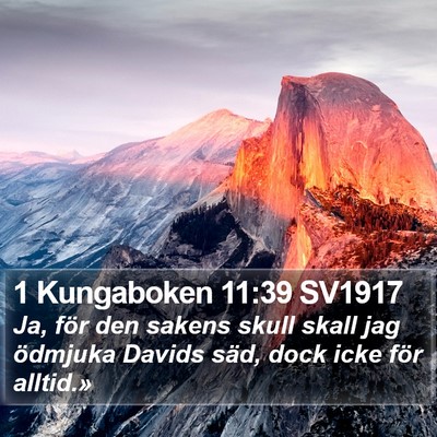 1 Kungaboken 11:39 SV1917 Bible Verse Image