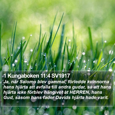 1 Kungaboken 11:4 SV1917 Bible Verse Image