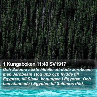 1 Kungaboken 11:40 SV1917 Bible Verse Image