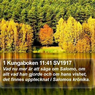 1 Kungaboken 11:41 SV1917 Bible Verse Image